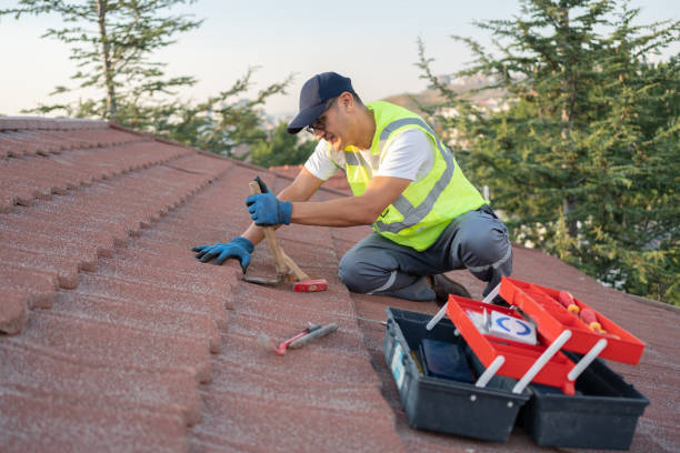 Best Best Roofing Contractors  in Kodi Station, AK